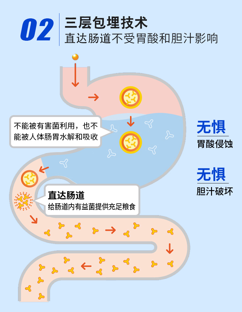 益生菌物_07.jpg